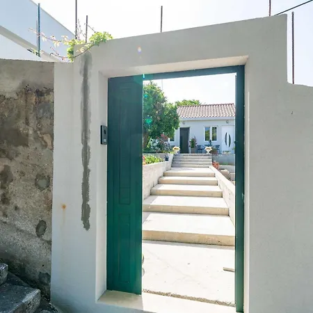 Green Garden - Studio With Terrace 1 Daire